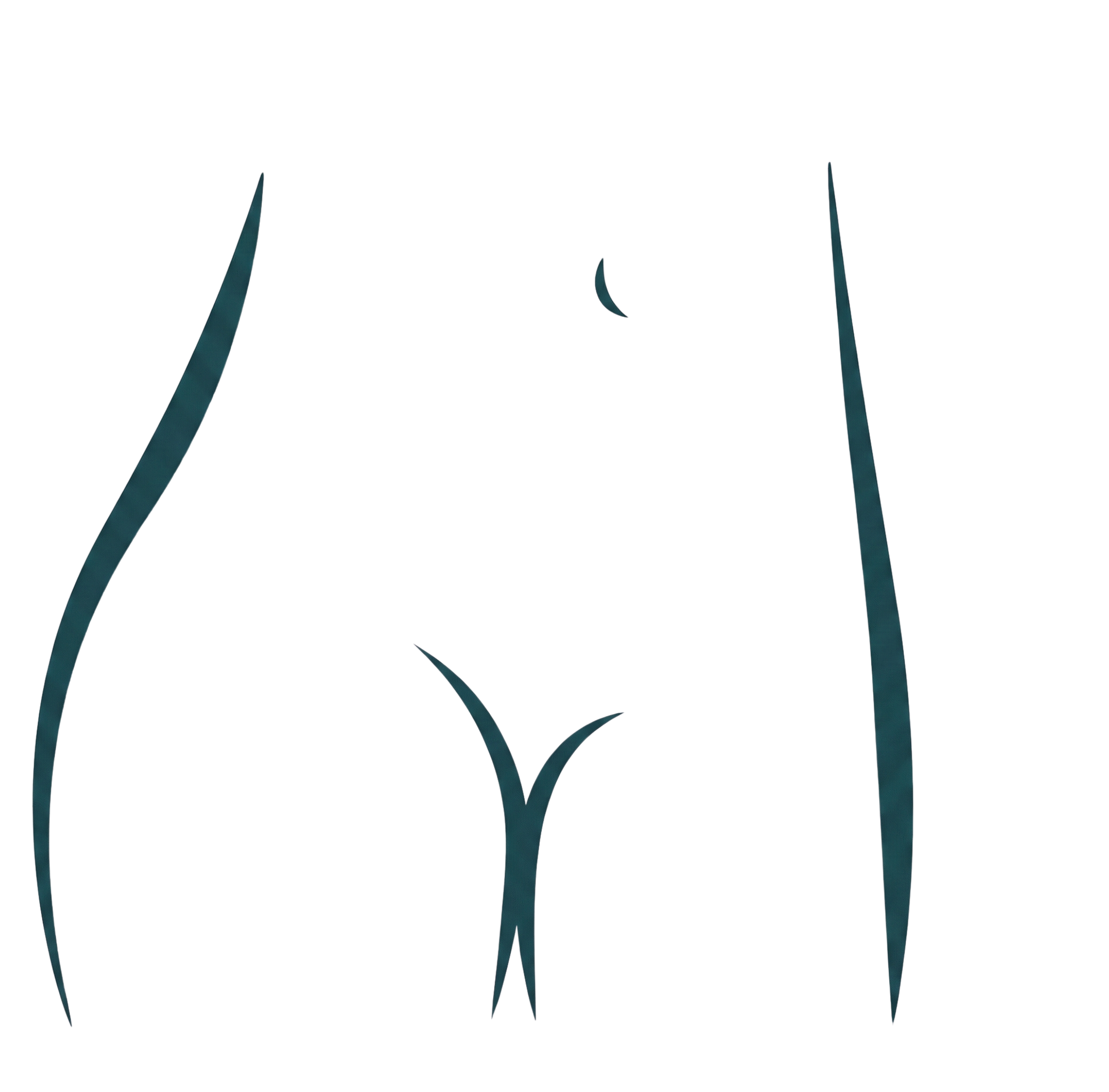 Schamlippenverkleinerung