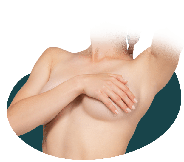 Kurzinfo – Auf einen Blick