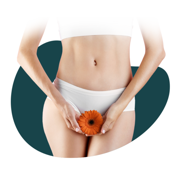 Kurzinfo – Auf einen Blick