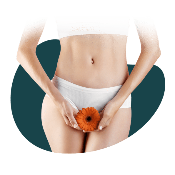 Kurzinfo – Auf einen Blick